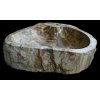 Umyvadlo ze zkamenělého dřeva - fosilní dřevo 57x44cm