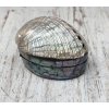 Šperkovnice z opracované mušle Haliotis cca 6x4x4cm