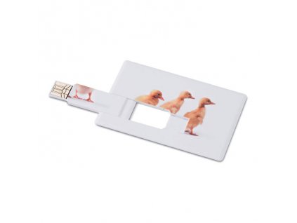 Creditcard. USB flash 4GB MO1059a-06-4GB