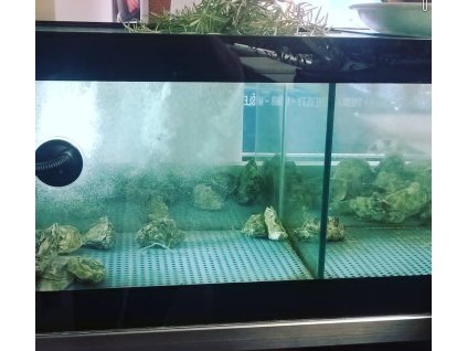 Screenshot 20230823 174943