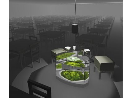 d925f3977dca3832e13a14038a6924e9 (1)