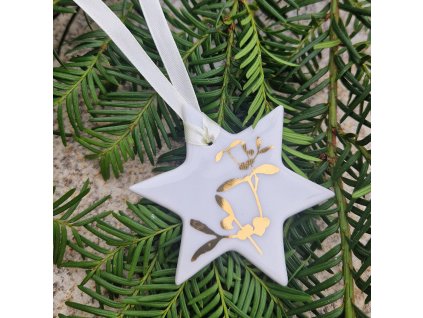 vánoční hvězda zlaté jmelí