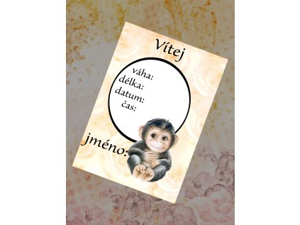 web uvod