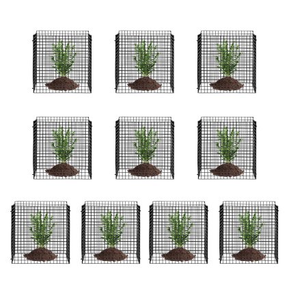 us QBWZCL12YCHS5IV6FV0 original img v1 plant cage m100 10