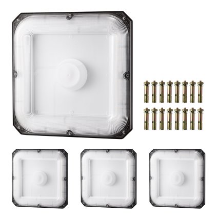 us TPDDS80W4JT0CK09FV7 original img v1 canopy light m100 9