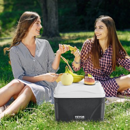 Přenosný chladicí box 8,5 QT, izolovaný chladicí box, objem 12 plechovek s rukojeťmi