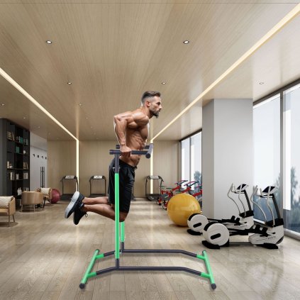 Power Tower Dip Station, stojan na hrazdu s nastavitelnou výškou ve 2 úrovních, multifunkční posilovací vybavení, posilovací zařízení do domácí posilovny, nosnost 100 kg, černá a zelená