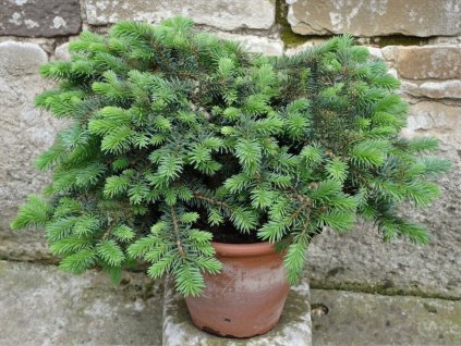 image 2026 01 18T092123.072