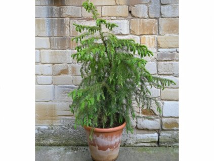 image 2026 01 18T091938.649