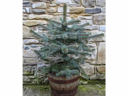 image 2026 01 18T081946.601