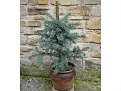 image 2026 01 18T082153.998