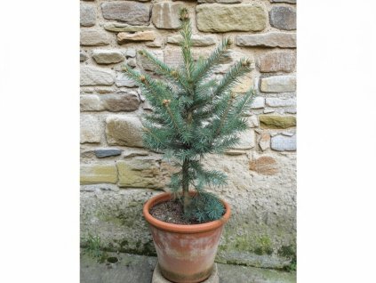 image 2026 01 18T081305.277