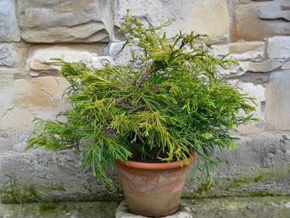 image 2026 01 18T101317.300