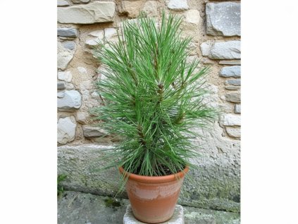 image 2026 01 18T095122.338