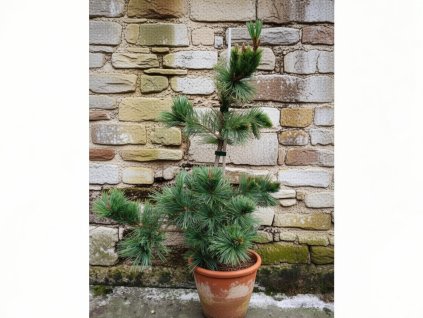 image 2026 01 18T100325.291