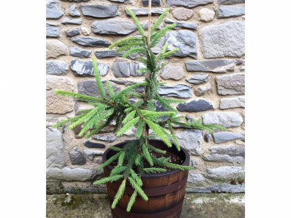 image 2026 01 18T093153.948