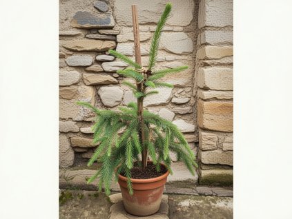 image 2026 01 18T093401.295