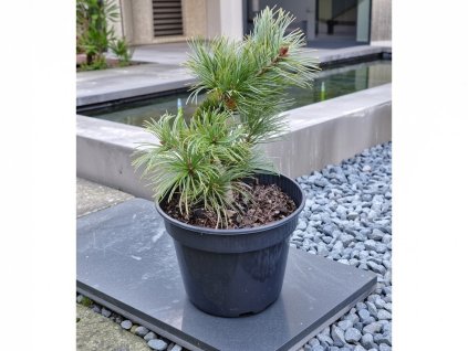 image 2026 01 18T095312.933