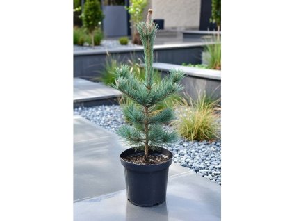 image 2026 01 18T100023.755