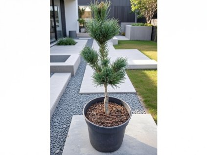 image 2026 01 18T095602.325