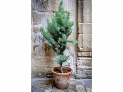 image 2026 01 18T082857.429