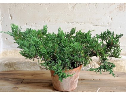 image 2026 01 18T102518.800