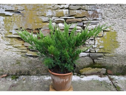 image 2026 01 18T080243.376