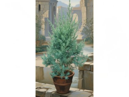 image 2026 01 18T075933.567