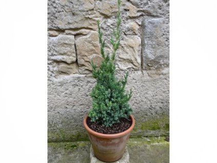 image 2026 01 18T075752.630