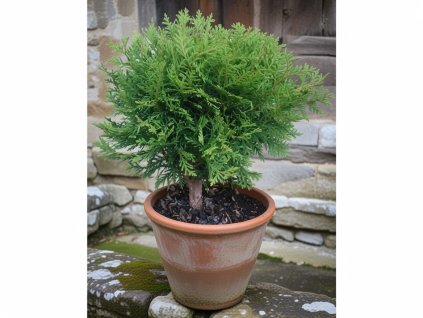 image 2026 01 18T102246.476