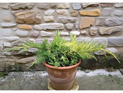 image 2026 01 18T075012.277