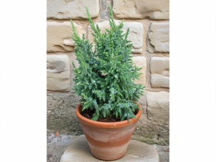 image 2026 01 18T075510.065