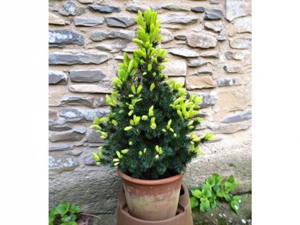 image 2026 01 18T081723.639