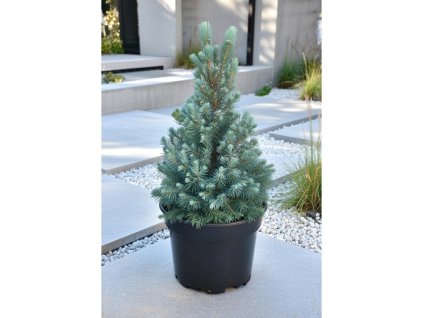 image 2026 01 18T092551.145