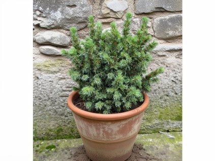 image 2026 01 20T173138.557