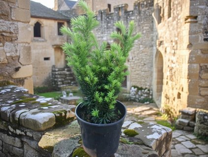 image 2026 01 18T102911.833