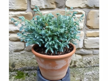 image 2026 01 18T101127.665