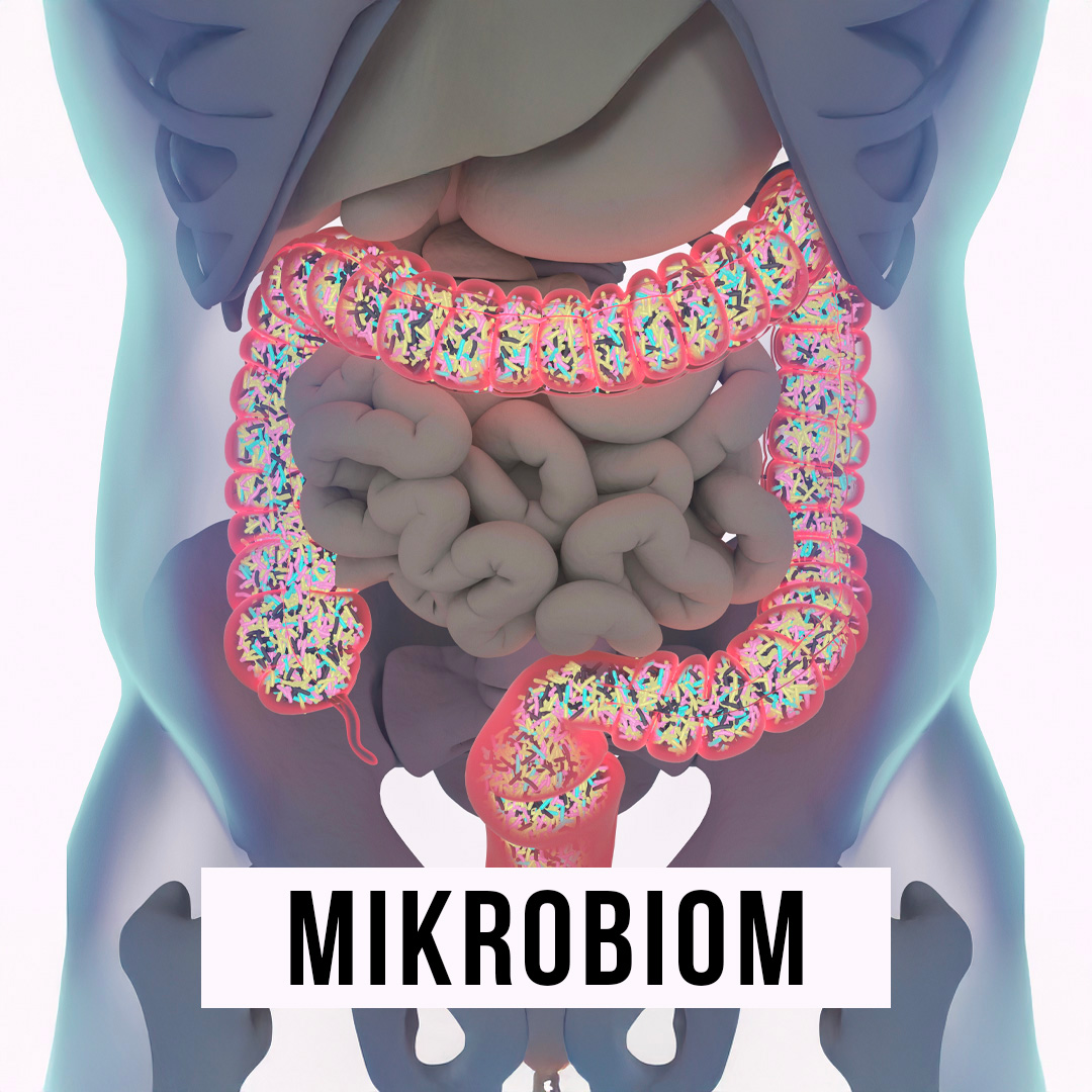 Mikrobiom - co to je a proč by nám na něm mělo záležet