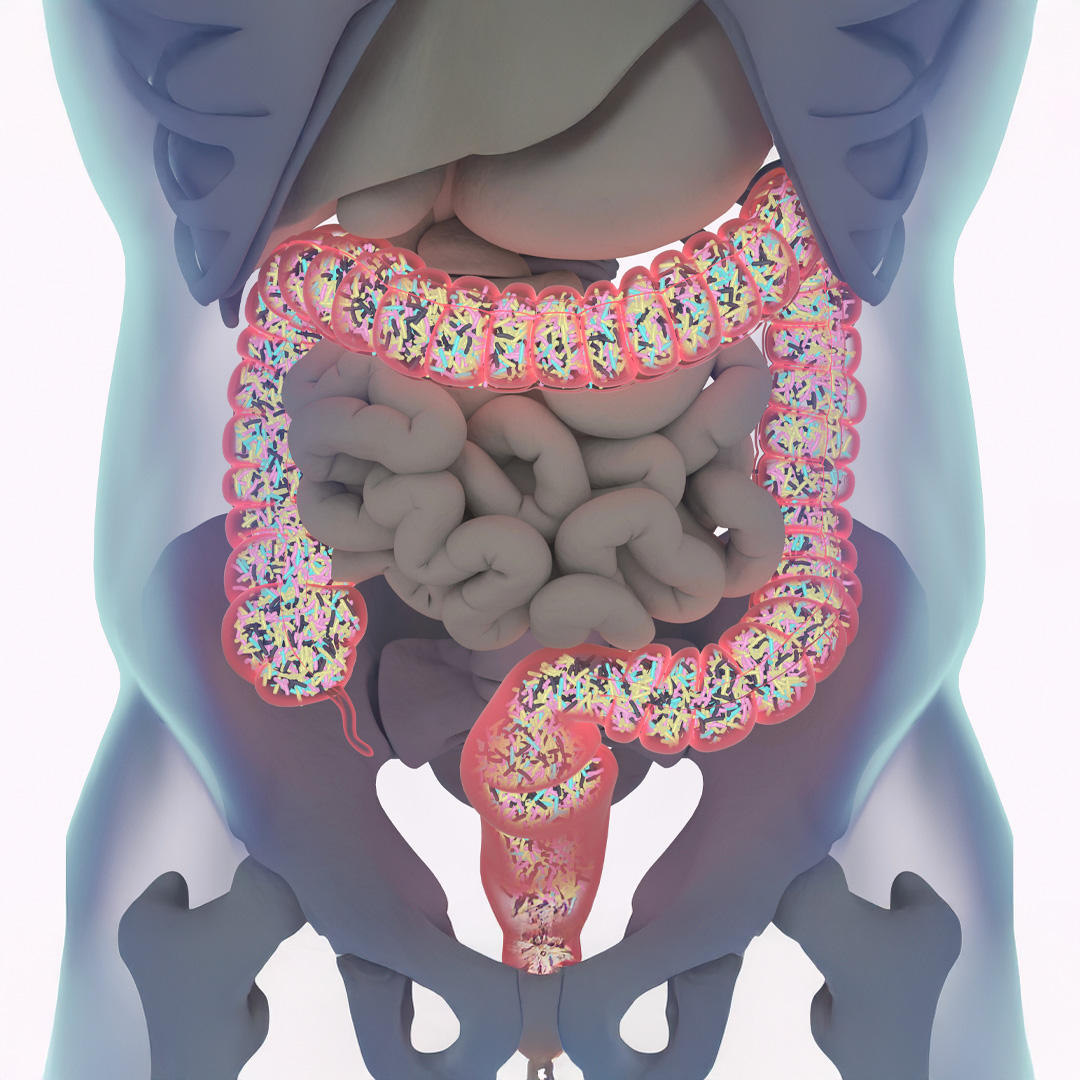 Mikrobióm - čo to je a prečo by nám na ňom malo záležať