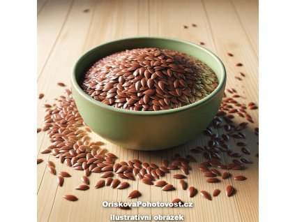 Lněné semínko hnědé