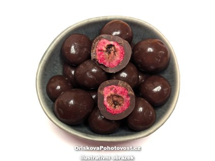 lyo visne v cokolade