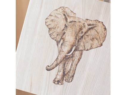 Dubová kostka - motiv slon