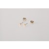 Ornamenti.cz Pozlacené náušnice Heart Mini gold 4