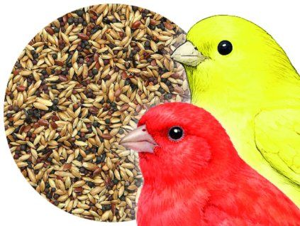 Bird Supreme BASIC – základní krmivo pro kanárky