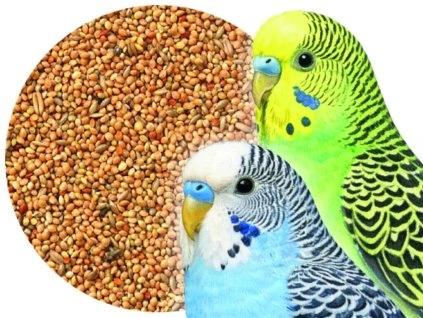 Bird Supreme BASIC – krmivo pro andulky