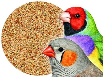 Bird Supreme BASIC – krmivo pro drobné exoty