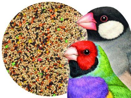 Bird Supreme BASIC s vitamíny – krmivo pro drobné exoty