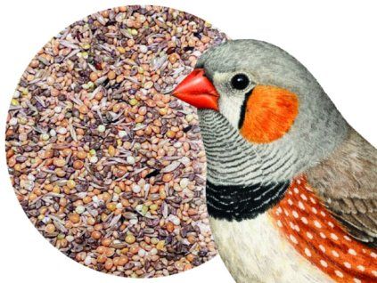 Bird Supreme EXCELLENT – krmivo pro zebřičky