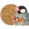 Bird Supreme CHOV – krmivo pro drobné exoty