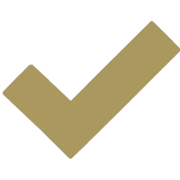 ikona
